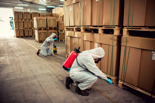 Best Exterminator Services  in Murrysville, PA