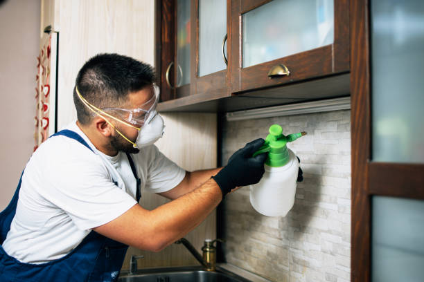 Best Best Pest Control Companies  in Murrysville, PA