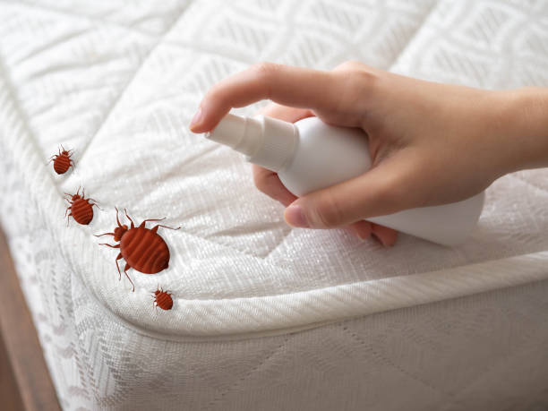 Best Affordable Pest Control Services  in Murrysville, PA