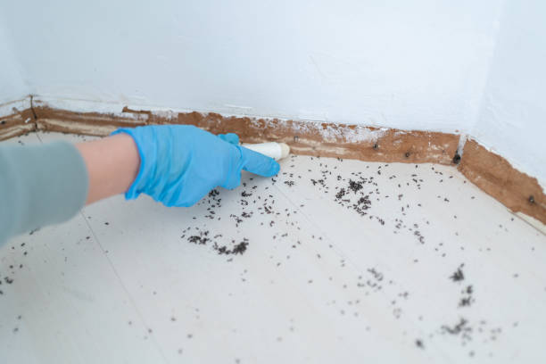 Best Mosquito Control Services  in Murrysville, PA