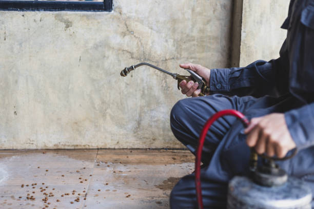 Best Pest Control Near Me  in Murrysville, PA